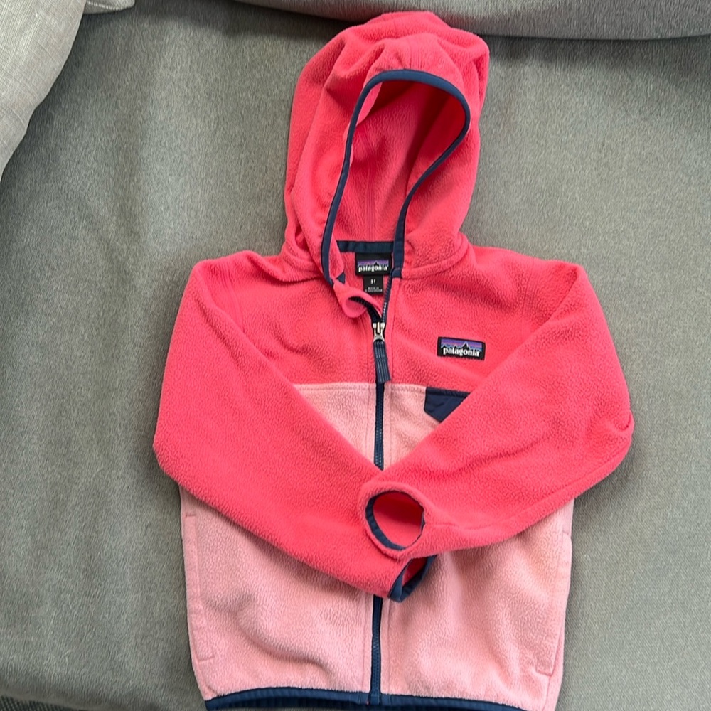 Little Girls Patagonia Fleece